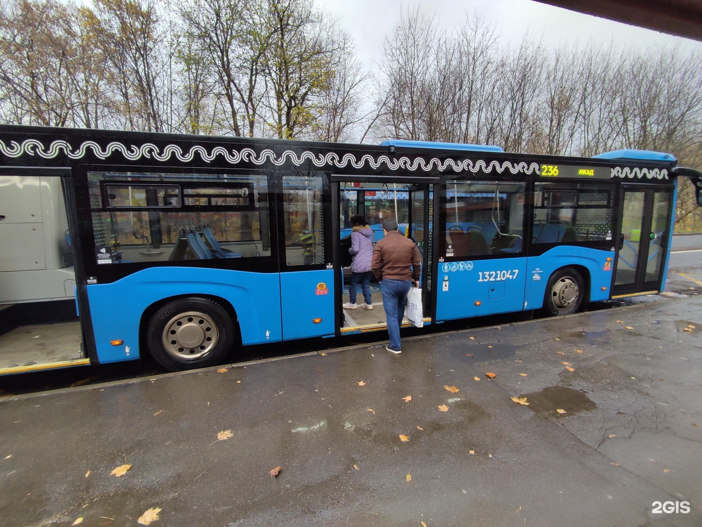 236 автобус бор. Автобус 236. Автобус 236 Москва. Автобус 236 СПБ. 236 Новый автобус.