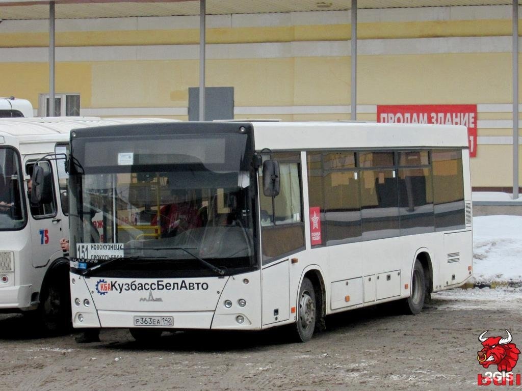 80 маршрут новокузнецк. МАЗ-226 автобусы Новосибирск.