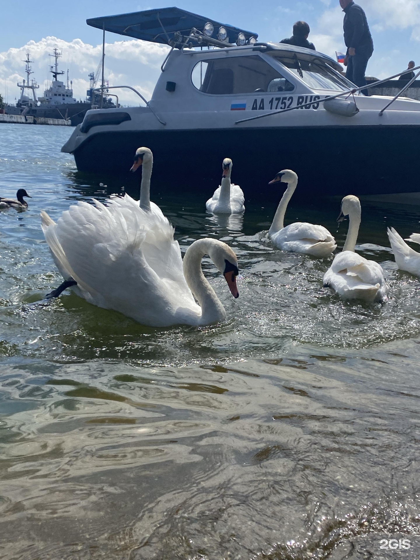 Морской бульвар балтийск. Балтийск морской бульвар.