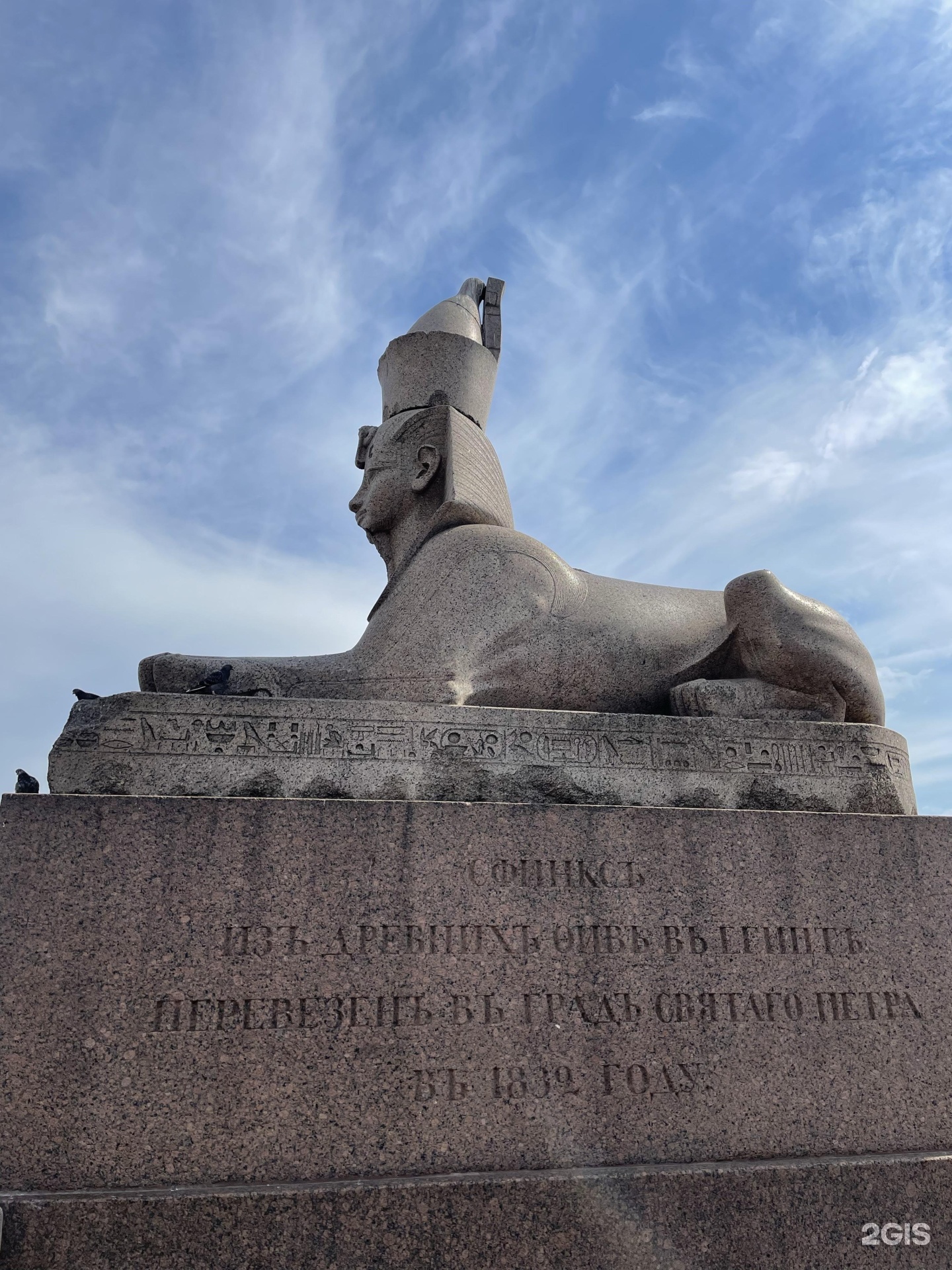 сфинкс петербург афина. сфинксы у академии художеств в санкт-петербурге. сфинкс спб недорого. сфинксы в санкт-петербурге на университетской набережной. мост со сфинксами в санкт-петербурге.