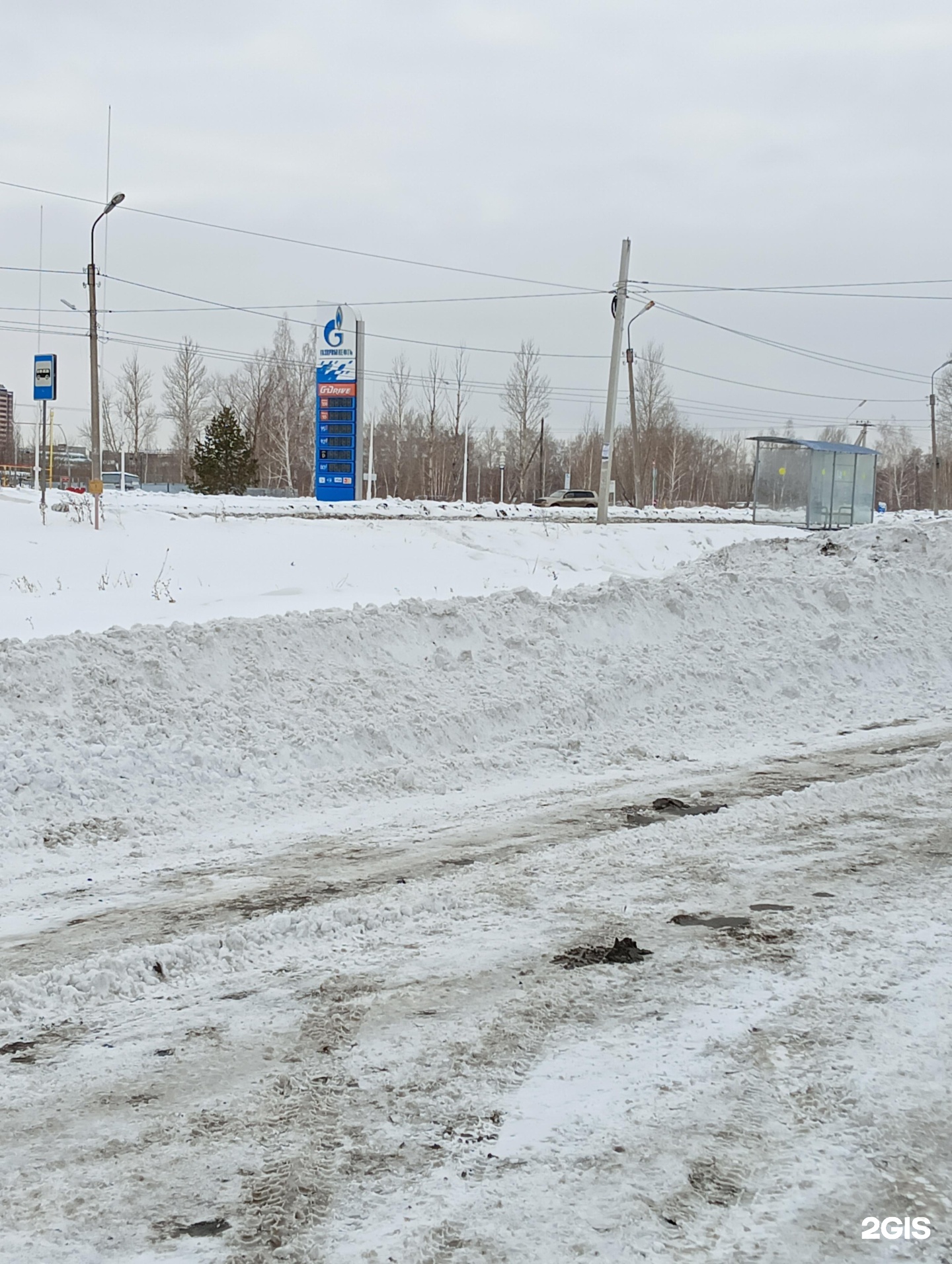 городской музей омск остановка