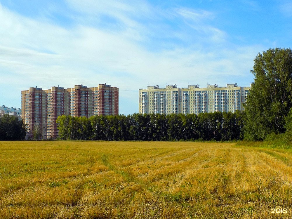 Город наступает. Новосибирск окраины города. Окраина. Пейзажи окраин. Окраины Новосибирска фото.