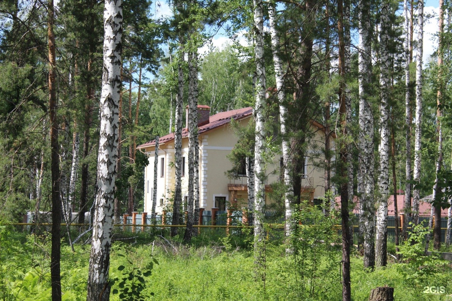 Новосибирск серебрянный лес