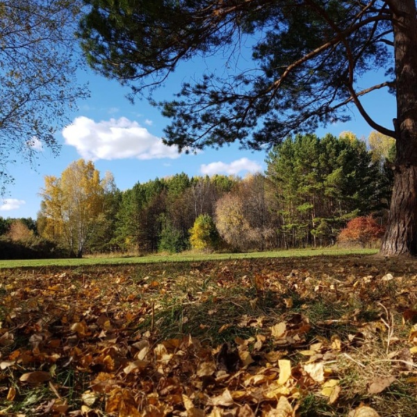 Краснообск парк синягина фото