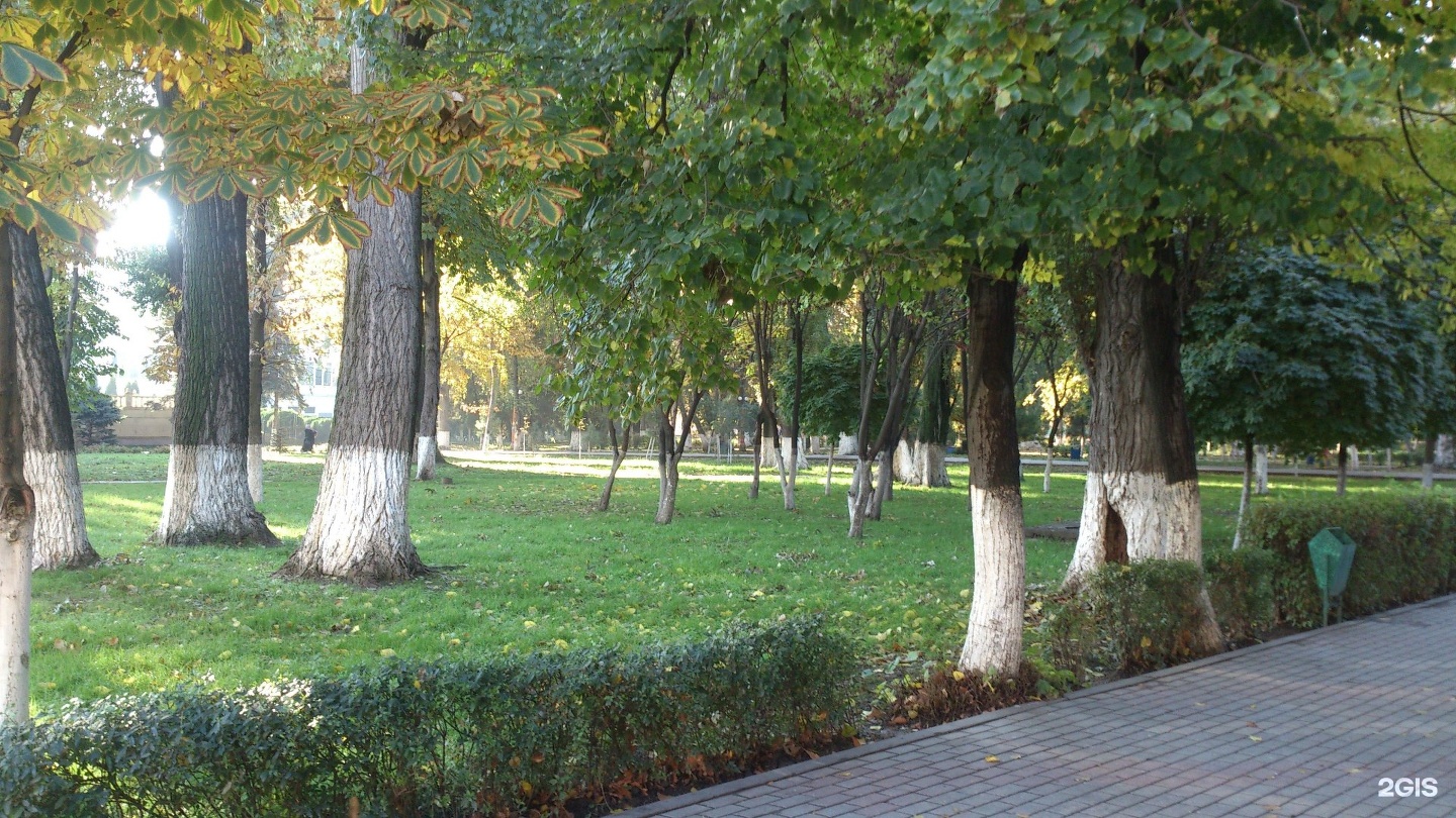 Сквер фазу Алиевой в Махачкале