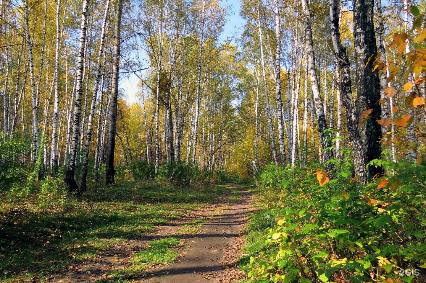 парк в ялуторовске