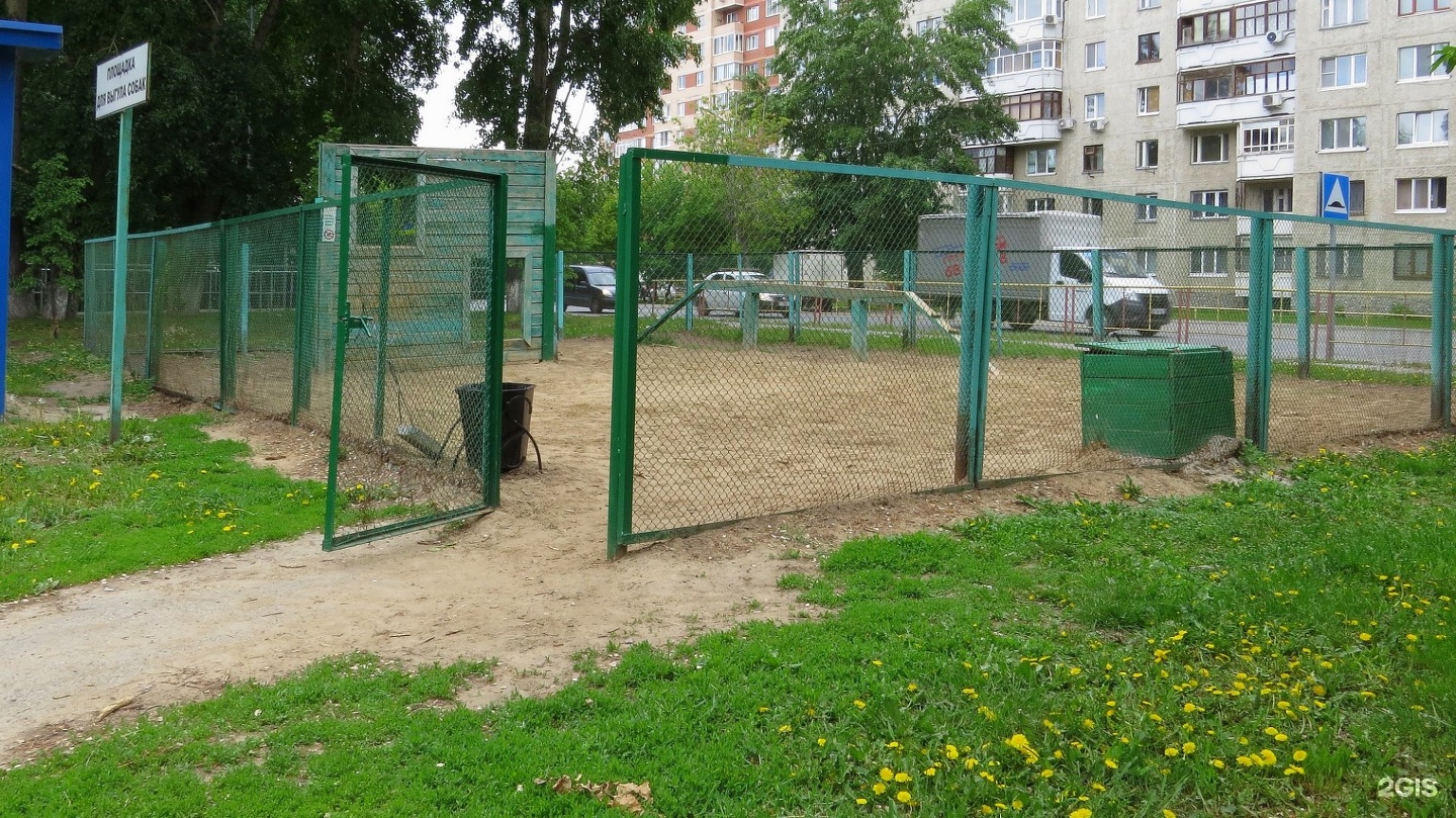 Площадка для выгула собак презентация