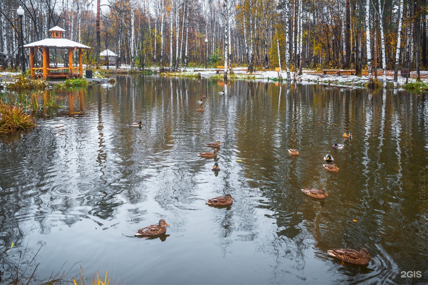 Балатовский парк Пермь пруд