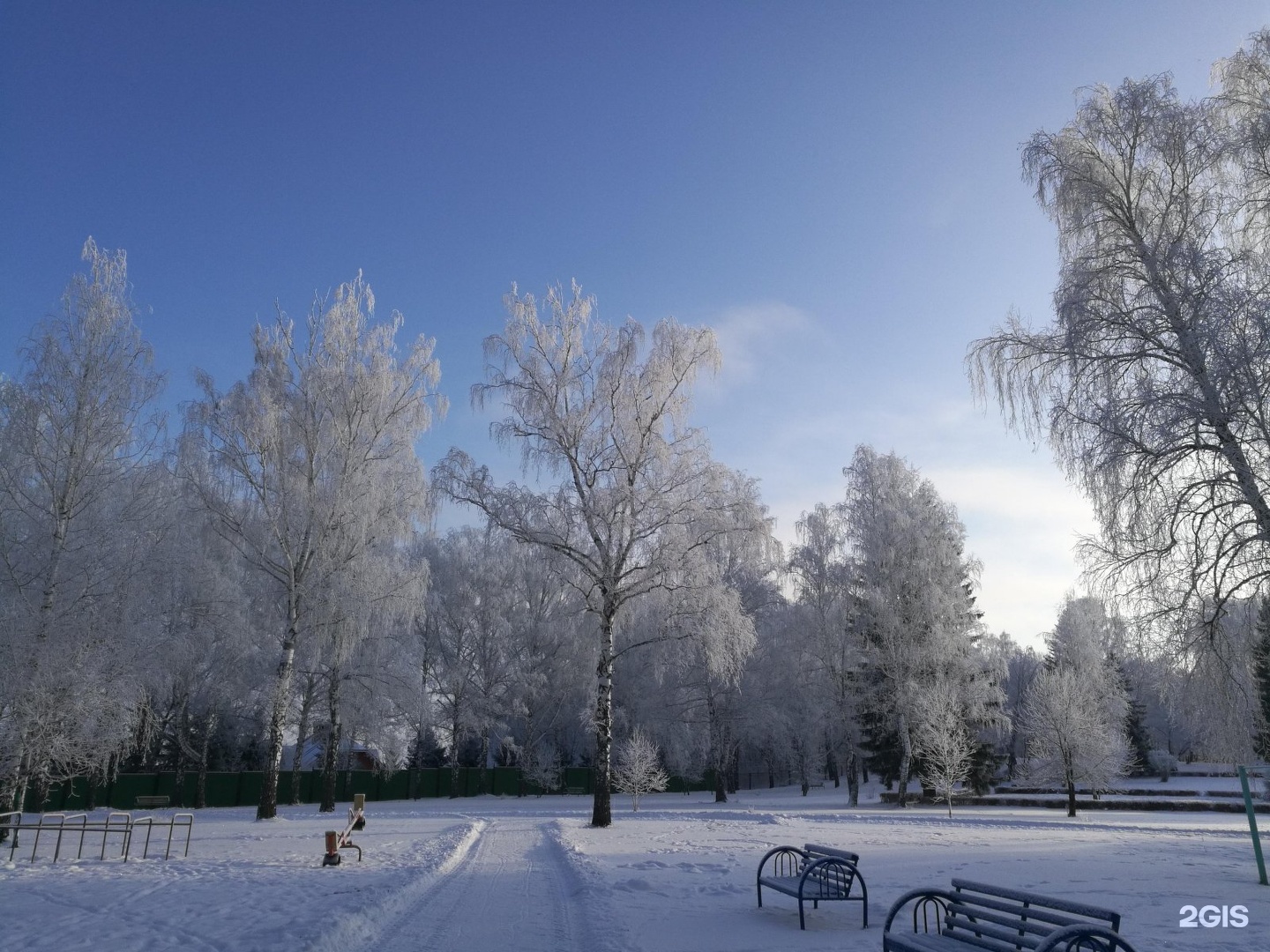 Восточная роща омск фото