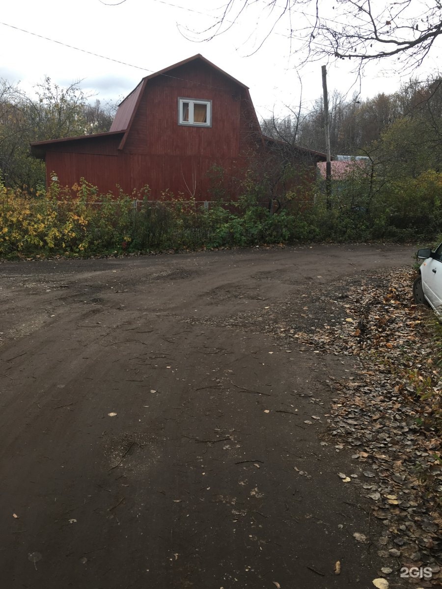 заветы мичурина нижний новгород. садоводческое товарищество заветы мичурина нижний новгород. снт мичурина 2 нижний новгород. снт заветы мичурина омск. заветы мичурина саров.