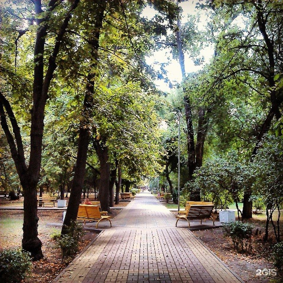 Парк ленина. Батайск парк. Парк города Батайска. Парк Батайск Ленина фонтаны. Фонтаны в парке Ленина Батайск.