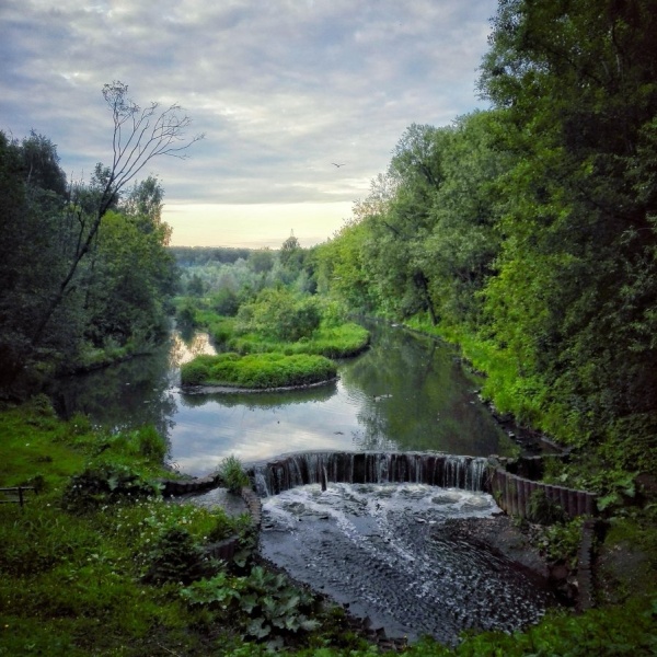 Фото заказник алтуфьевский