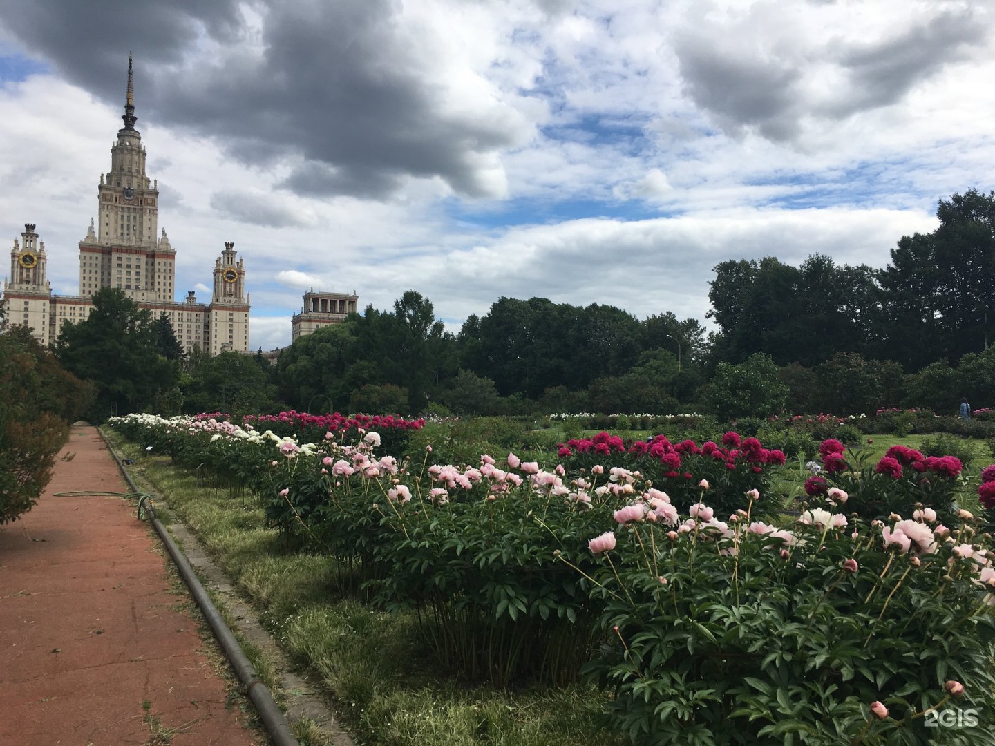 Ботанический сад МГУ проспект мира