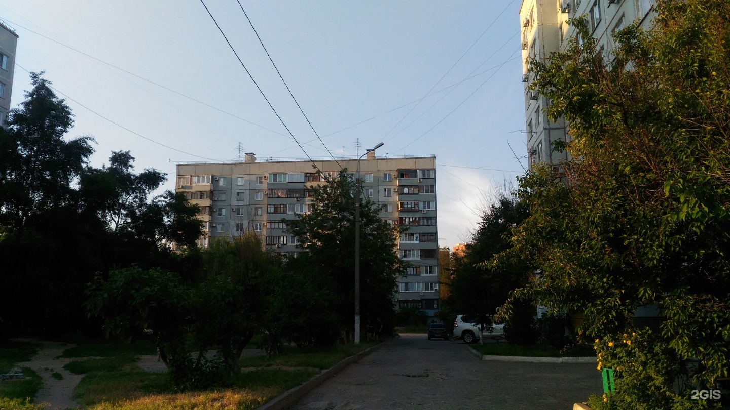 Женская на тулака волгоград. Улица тулака 2 волгоград. Женская консультация 7 тулака. Женская на тулака волгоград. Улица тулака волгоград.