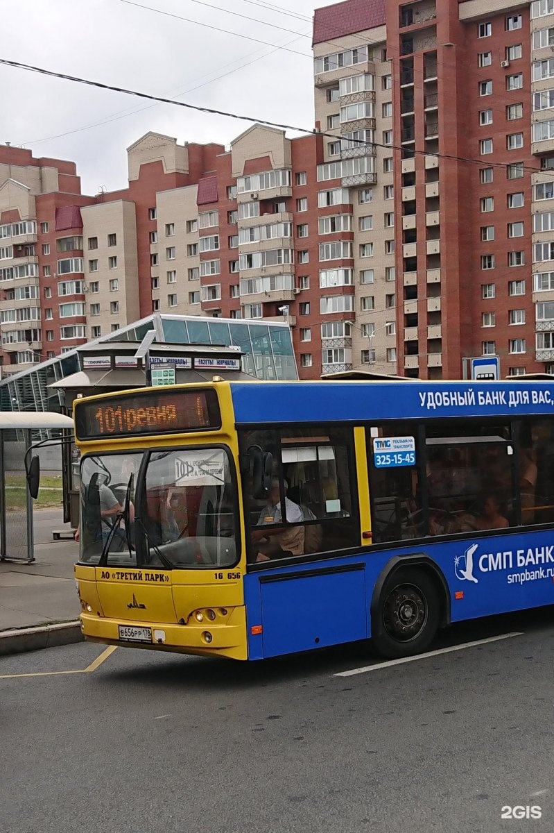 Автобус 101 э. 101 Автобус Кронштадт. Автобус 101 Санкт-Петербург Кронштадт. Автобус 101 до Кронштадта. Автобус 101 Санкт-Петербург Кронштадт маршрут.