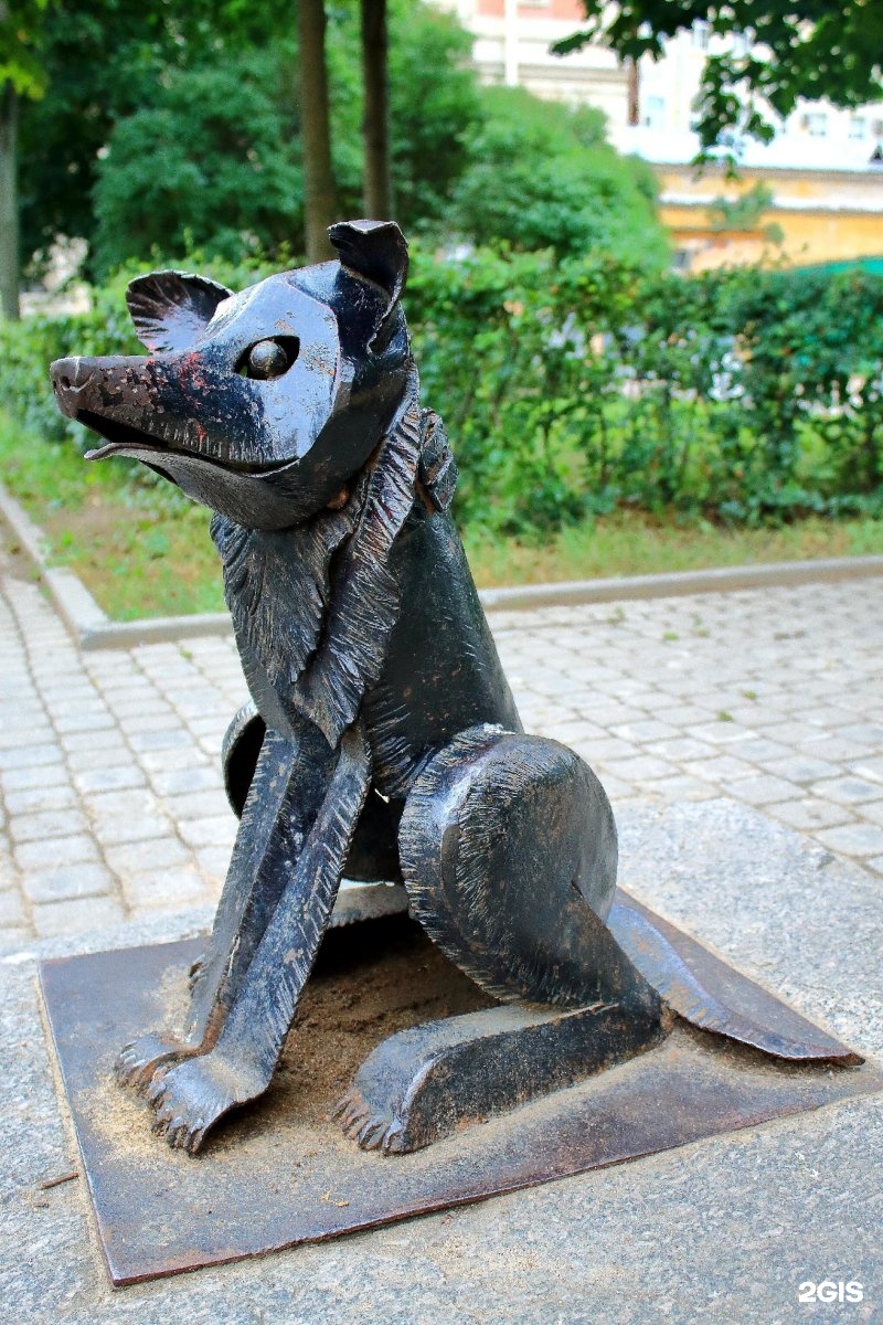 Собака петербург. Памятник Гаврюше в Санкт-Петербурге. Памятник собаке Гаврюше в Санкт-Петербурге. Памятник собаке Гаврюше СПБ. Памятник Гаврюше на малой садовой.