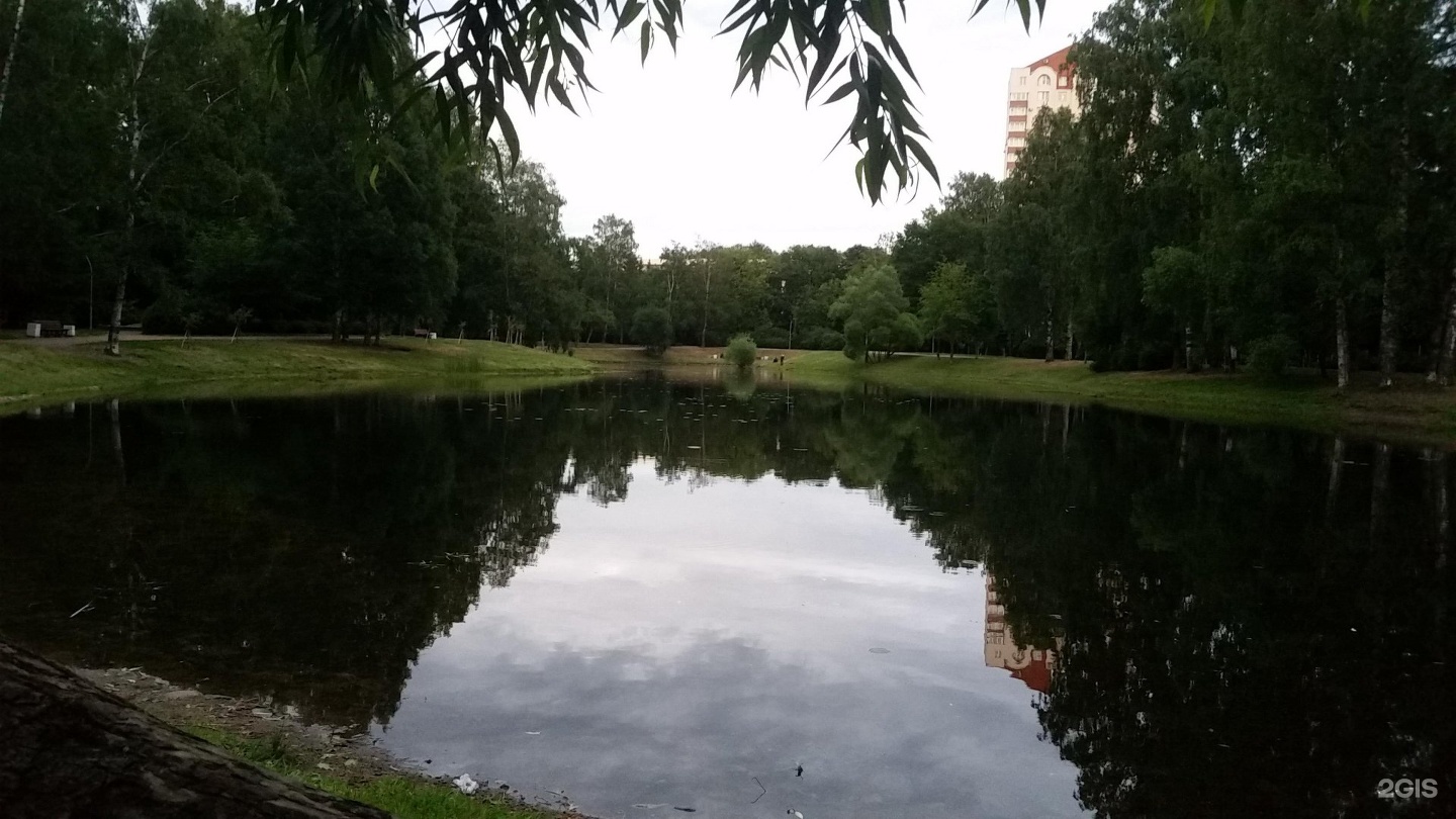 Парк серебряный пруд Санкт-Петербург