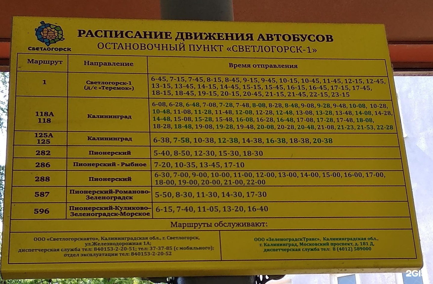 Расписание 1 светлогорск отрадное. Расписание автобусов Светлогорск 1 Калининград. Автобус 1 Светлогорск. Автобус Светлогорск Пионерский.