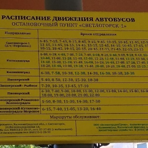 Расписание автобусов калининград янтарный. Расписание автобусов Светлогорск Янтарный. Расписание автобусов Светлогорск. Расписание автобусов Светлогорск 1. Автобус 1 Светлогорск.