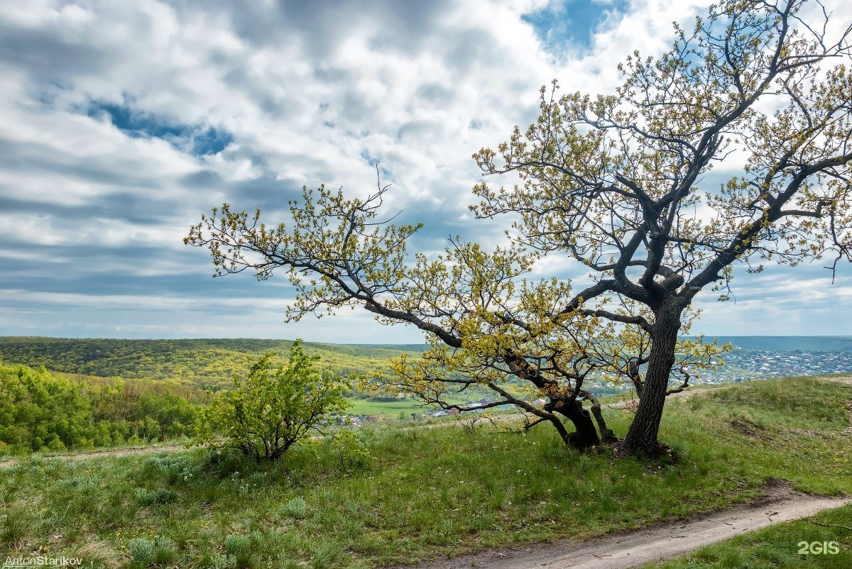 Кумысная поляна саратов фото