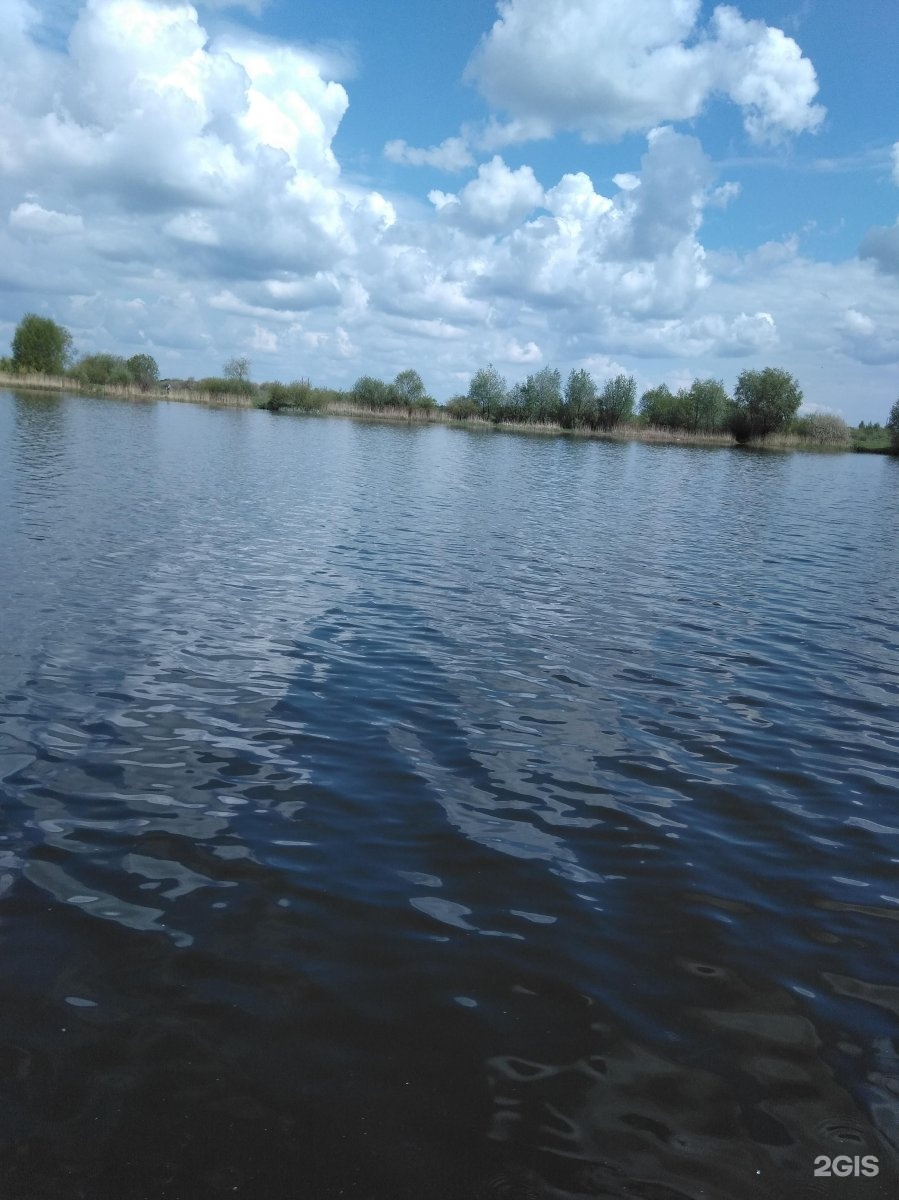 озеро барсучья грива брянск