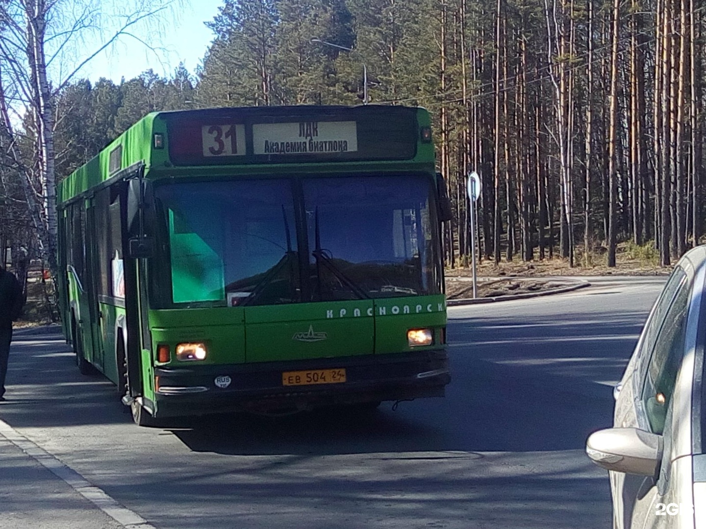 87 автобус маршрут. Автобус 31 Красноярск. Автобус МАЗ 2 маршрут Красноярск. 31 Маршрут Красноярск. Красноярский маршрутный автобус.