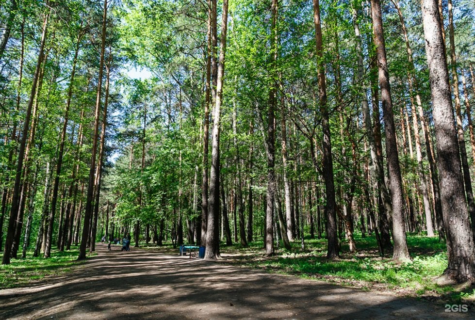 Седьмой парк. Парк семь ключей. Семь ключей Екатеринбург. Екатеринбург 7 ключей семь. Железнодорожный лесопарк Екатеринбург.