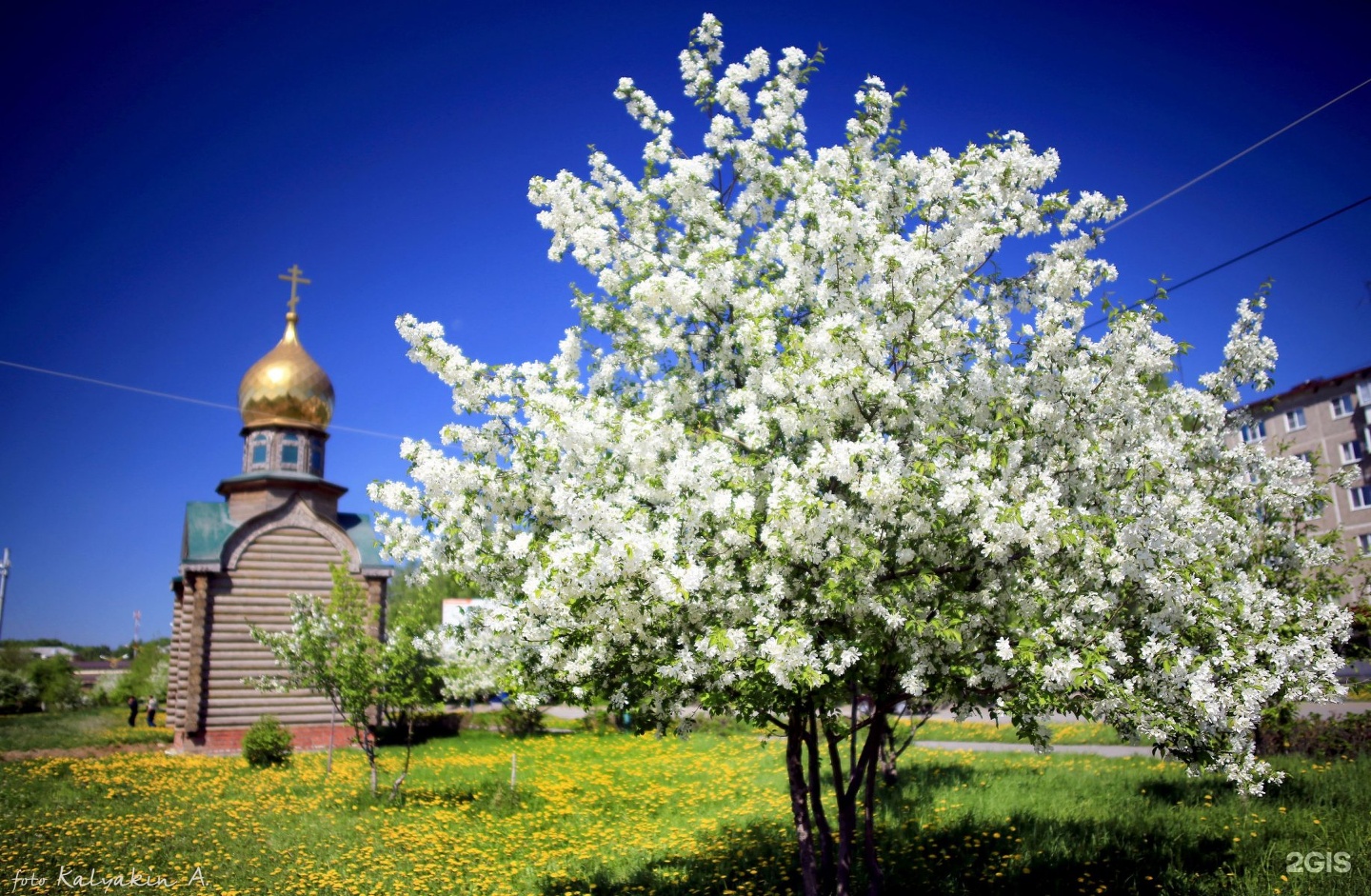 ревда еланский парк