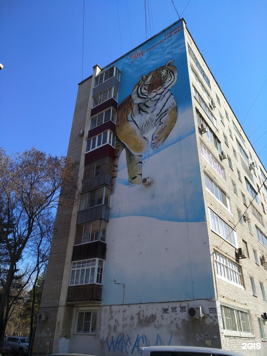 Граффити тигр