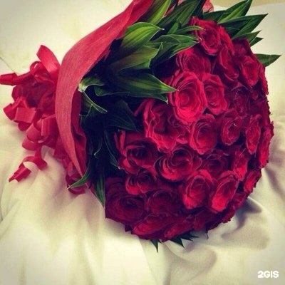 Автор отзыва Елена Кузнецова