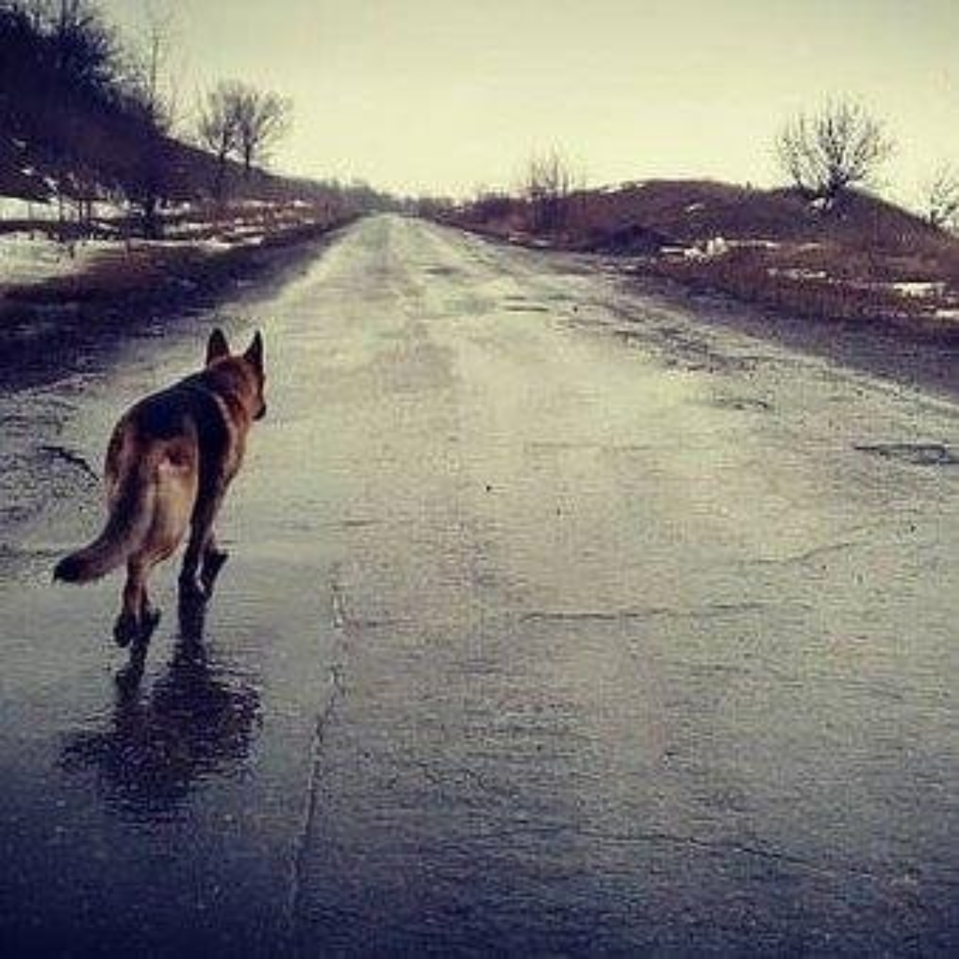 Школа Кенгуру, центр развития ребенка, Кызыл Армейская, 4, Казань — 2ГИС