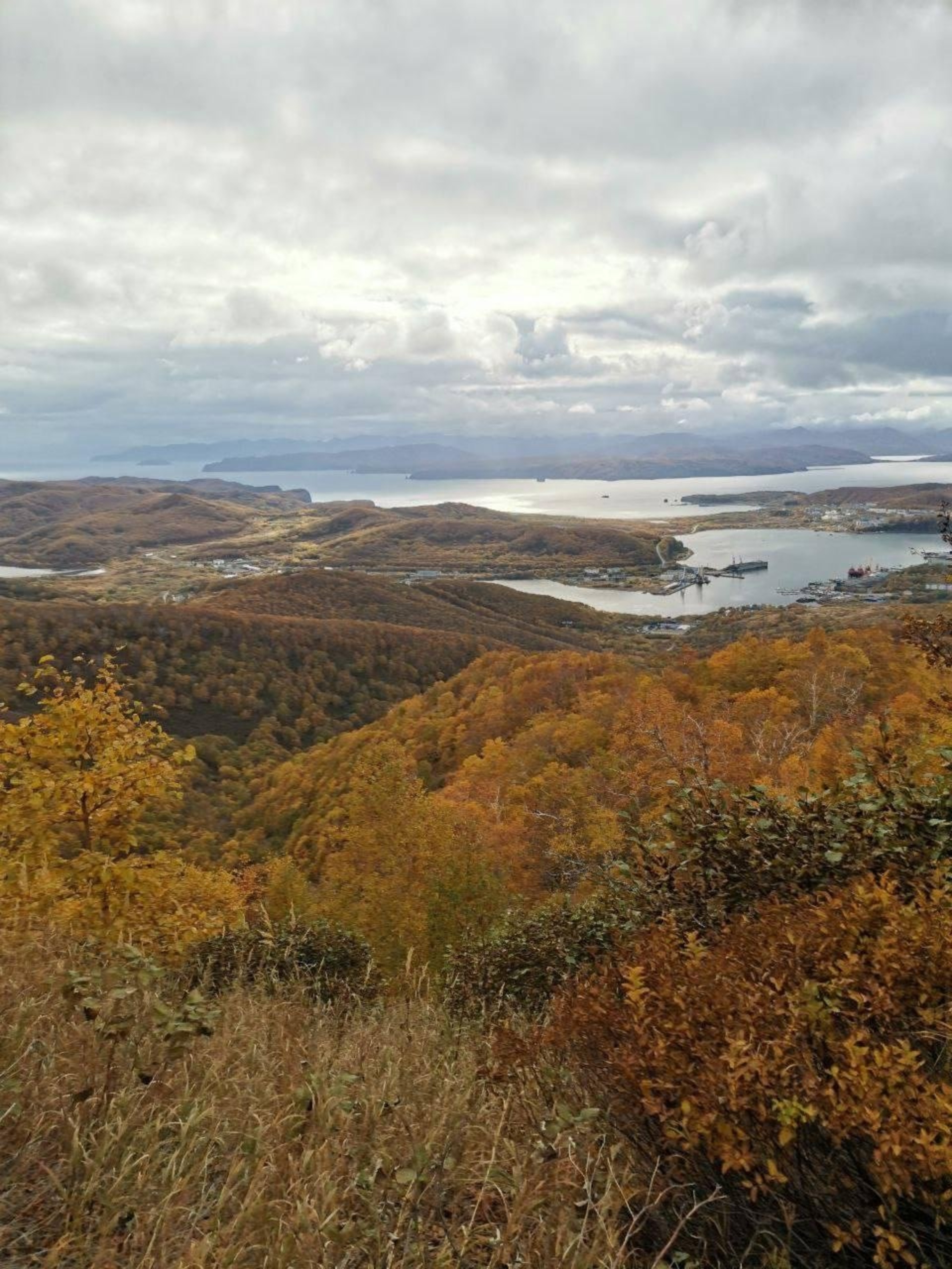 Звёздная, 20а в Петропавловске-Камчатском — 2ГИС