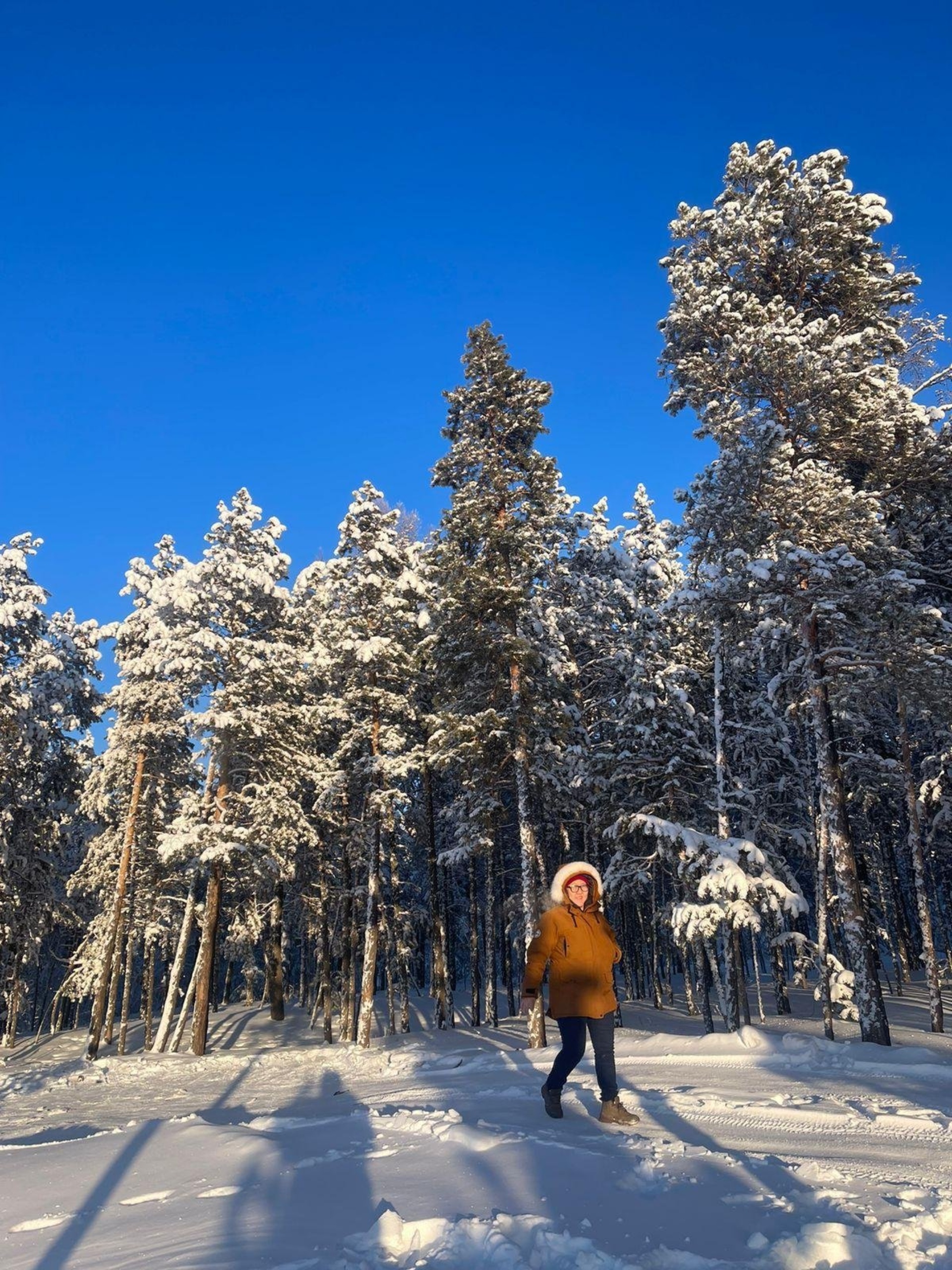 Нева-ЛОР, медицинский кабинет, улица Ломоносова, 27, Якутск — 2ГИС