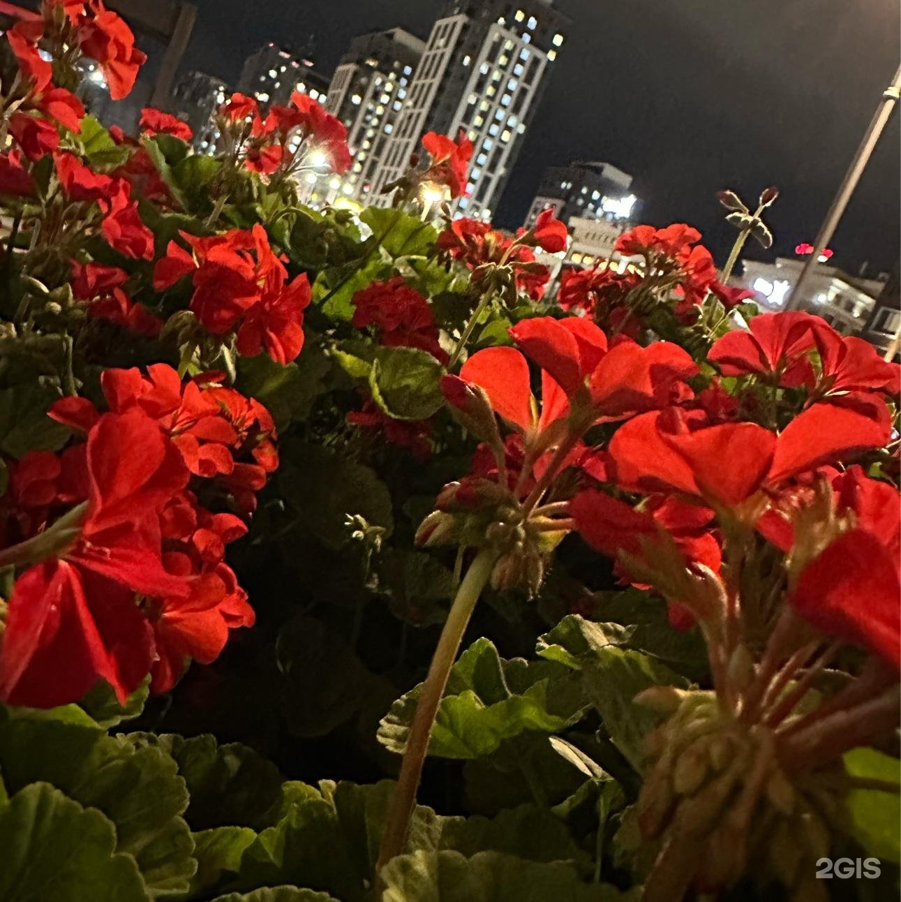 Орыс тілінде сорғыш