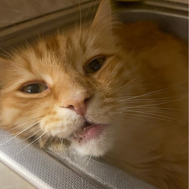 БДСМ фистинг қатты порно Жалаңаш орындаушылардың фотомонтажы