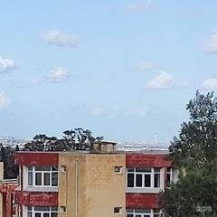 Мухаммад Шават