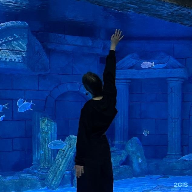 Куннилингус пен анилингус порно онлайн көру