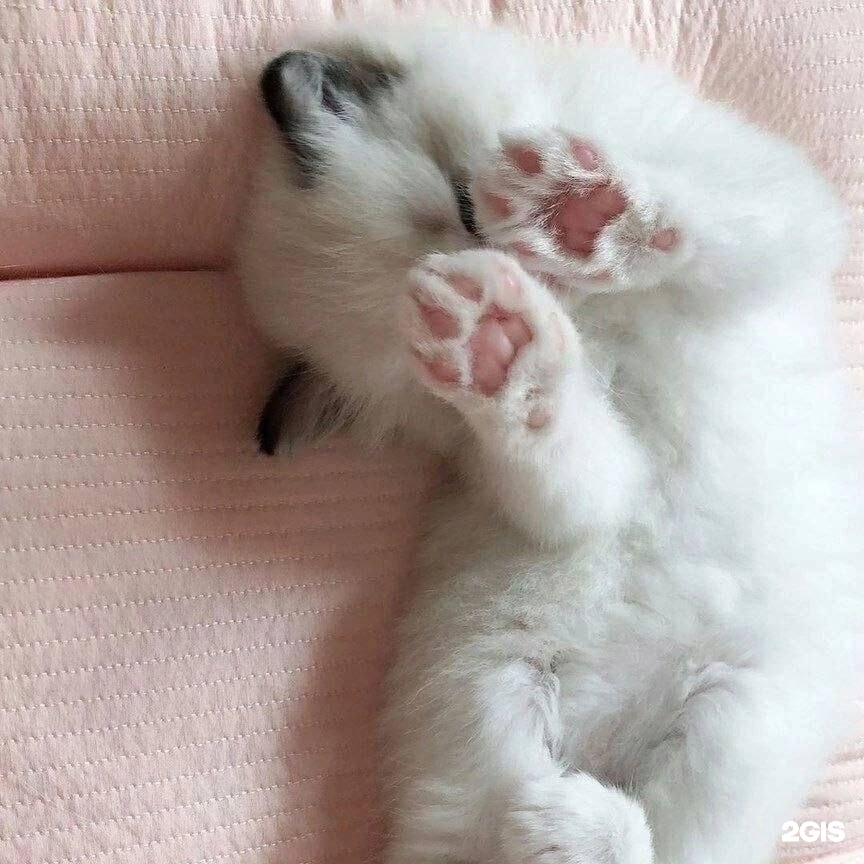 Автор отзыва Vasilina Zamyatina