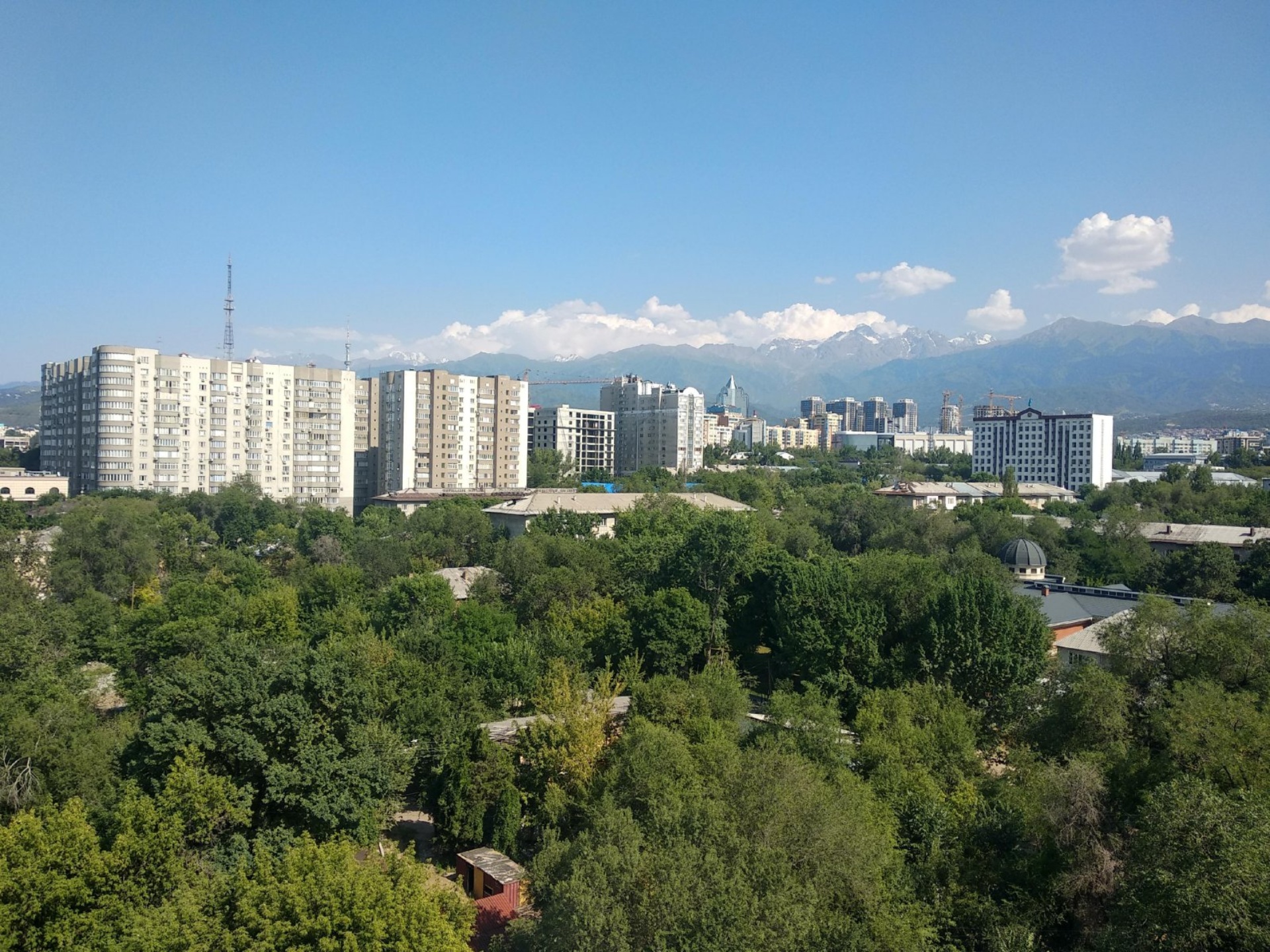 Ұзын мұрынды порно