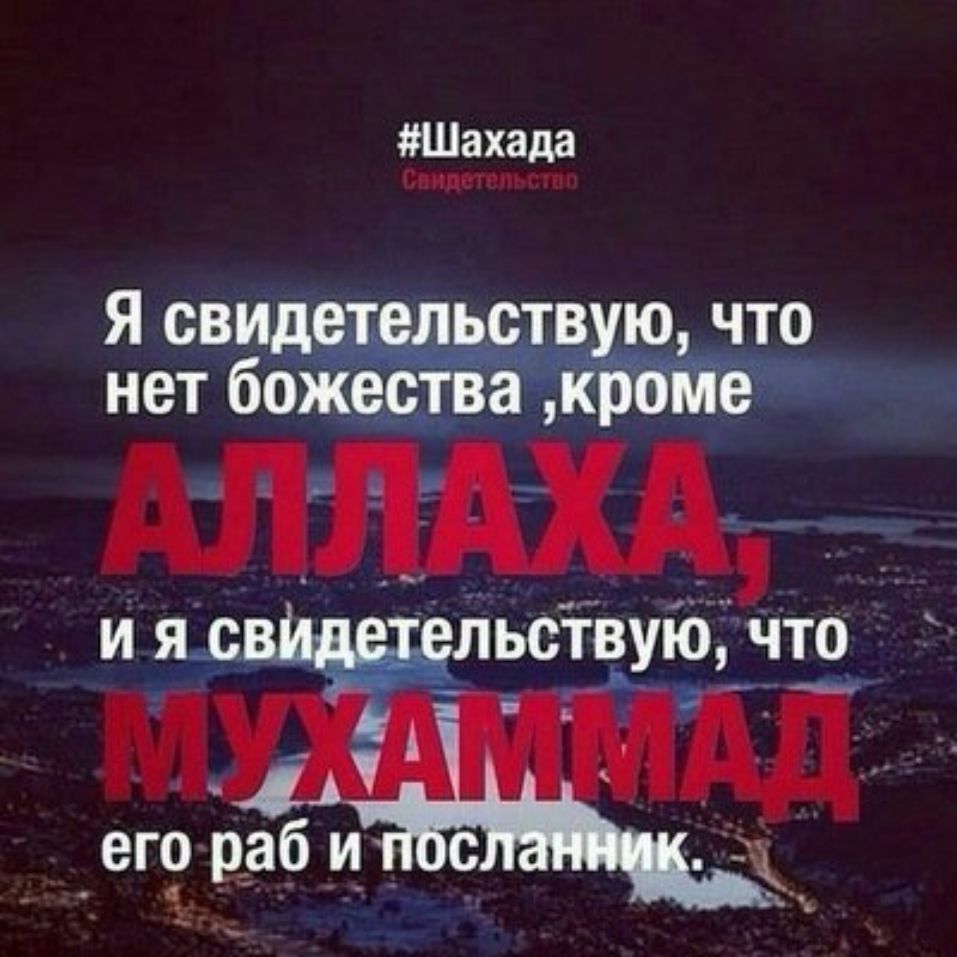 Элита, магазин полуфабрикатов, улица Абдулхакима Исмаилова, 45в, Махачкала  — 2ГИС