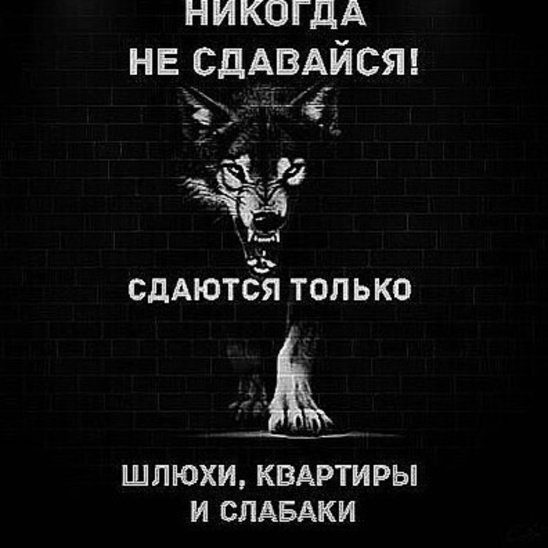 Аспект, управляющая компания, проспект Богдана Хмельницкого, 111 к1,  Белгород — 2ГИС