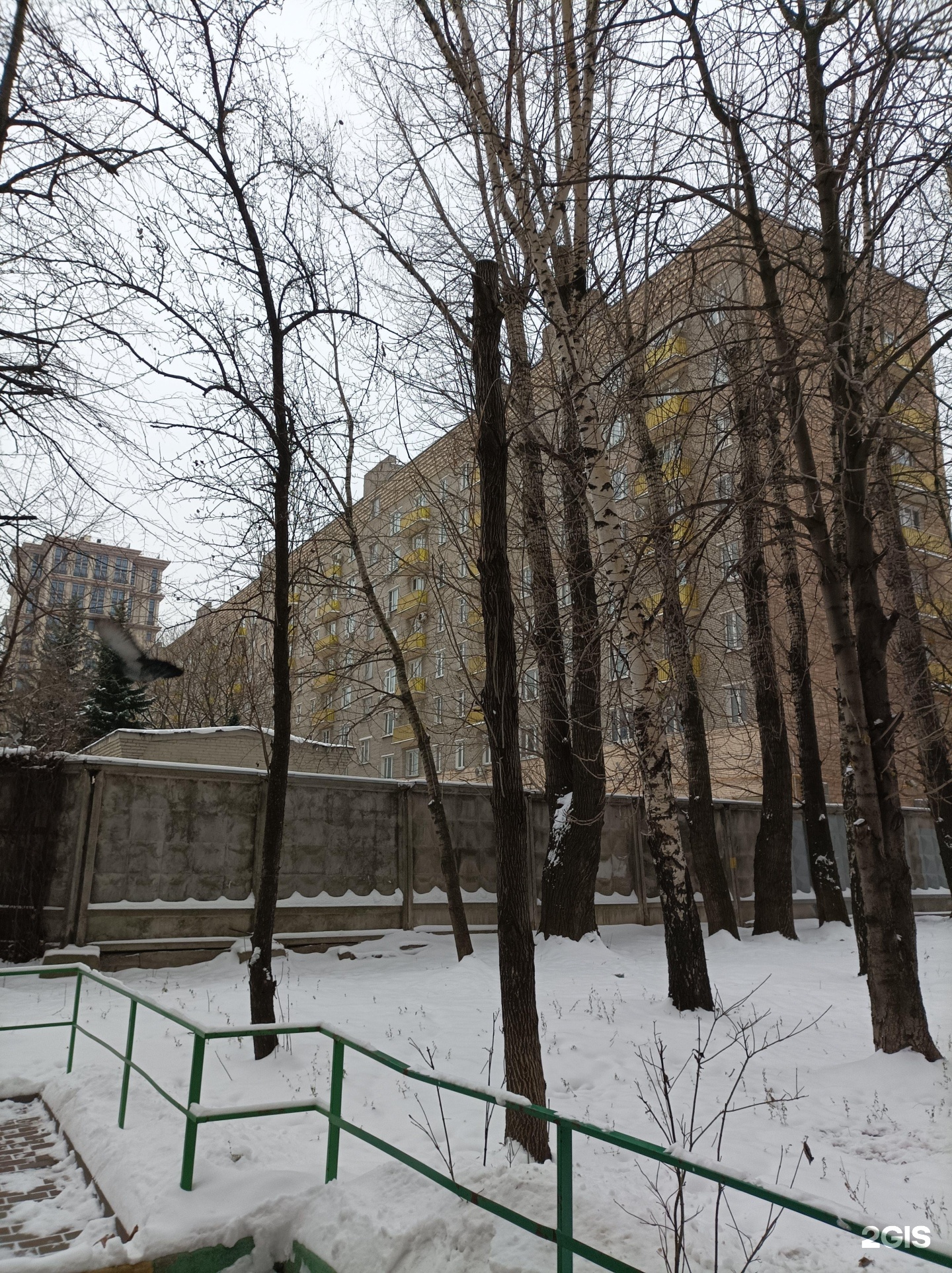 Изображение организации