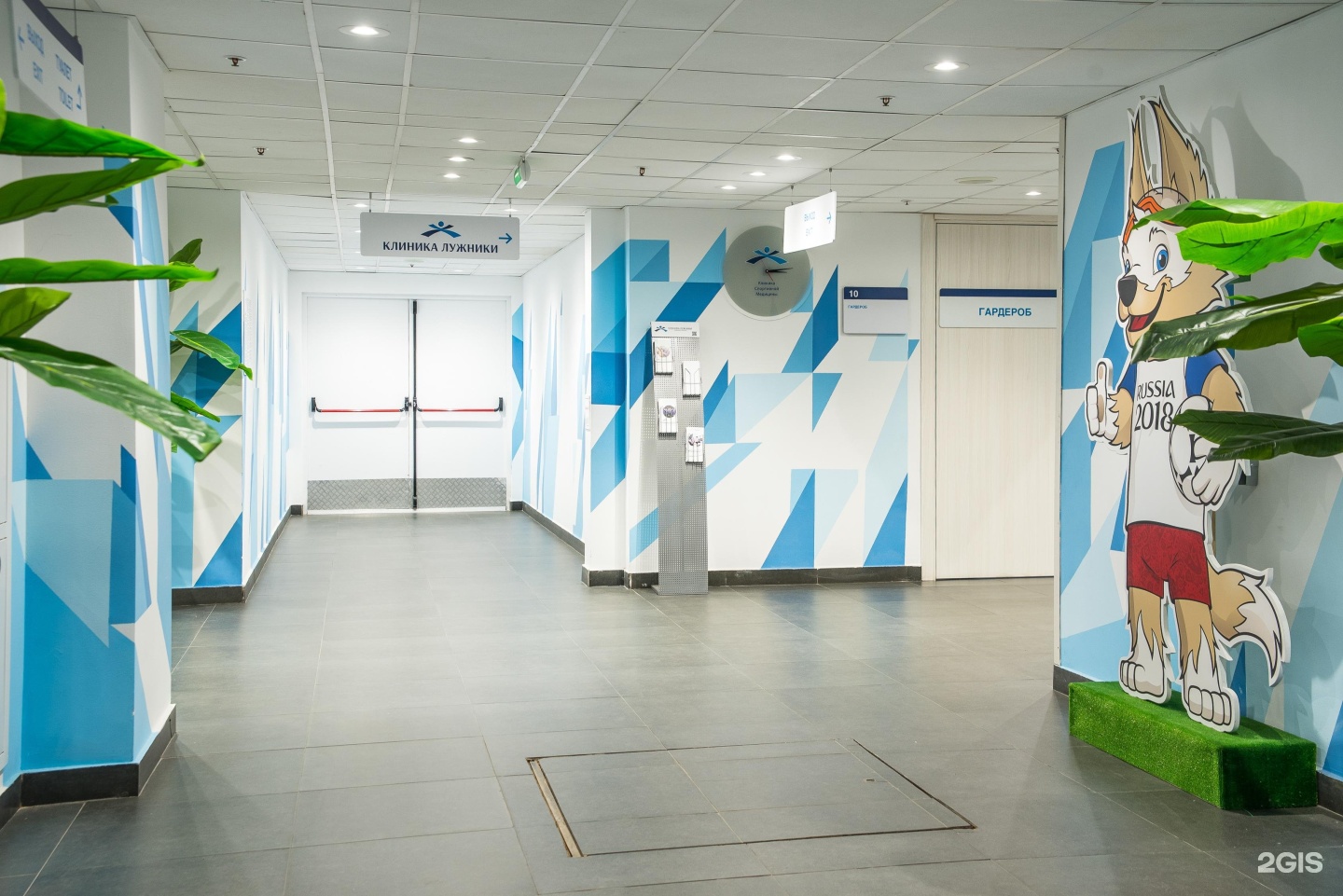 Изображение организации