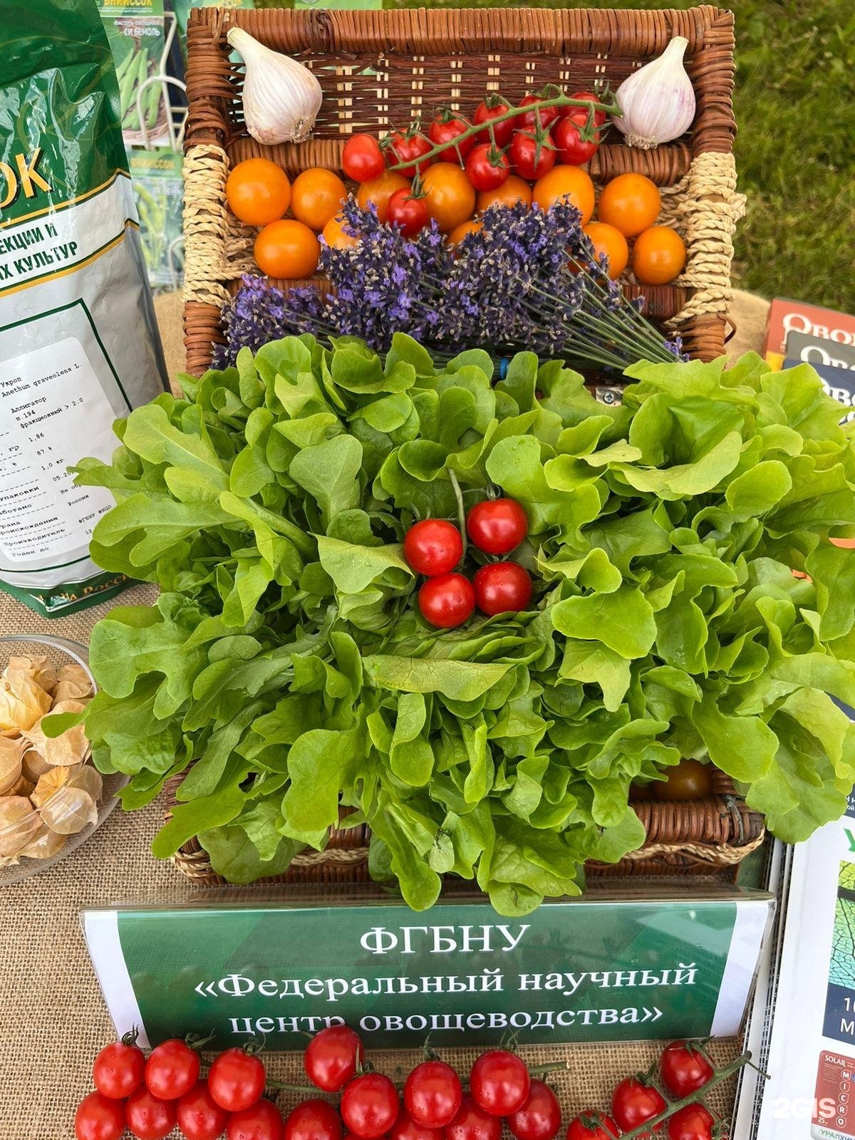 Изображение организации