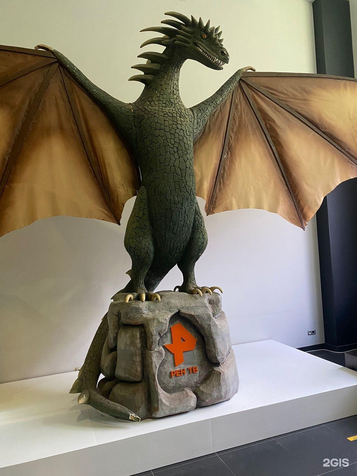 Изображение организации