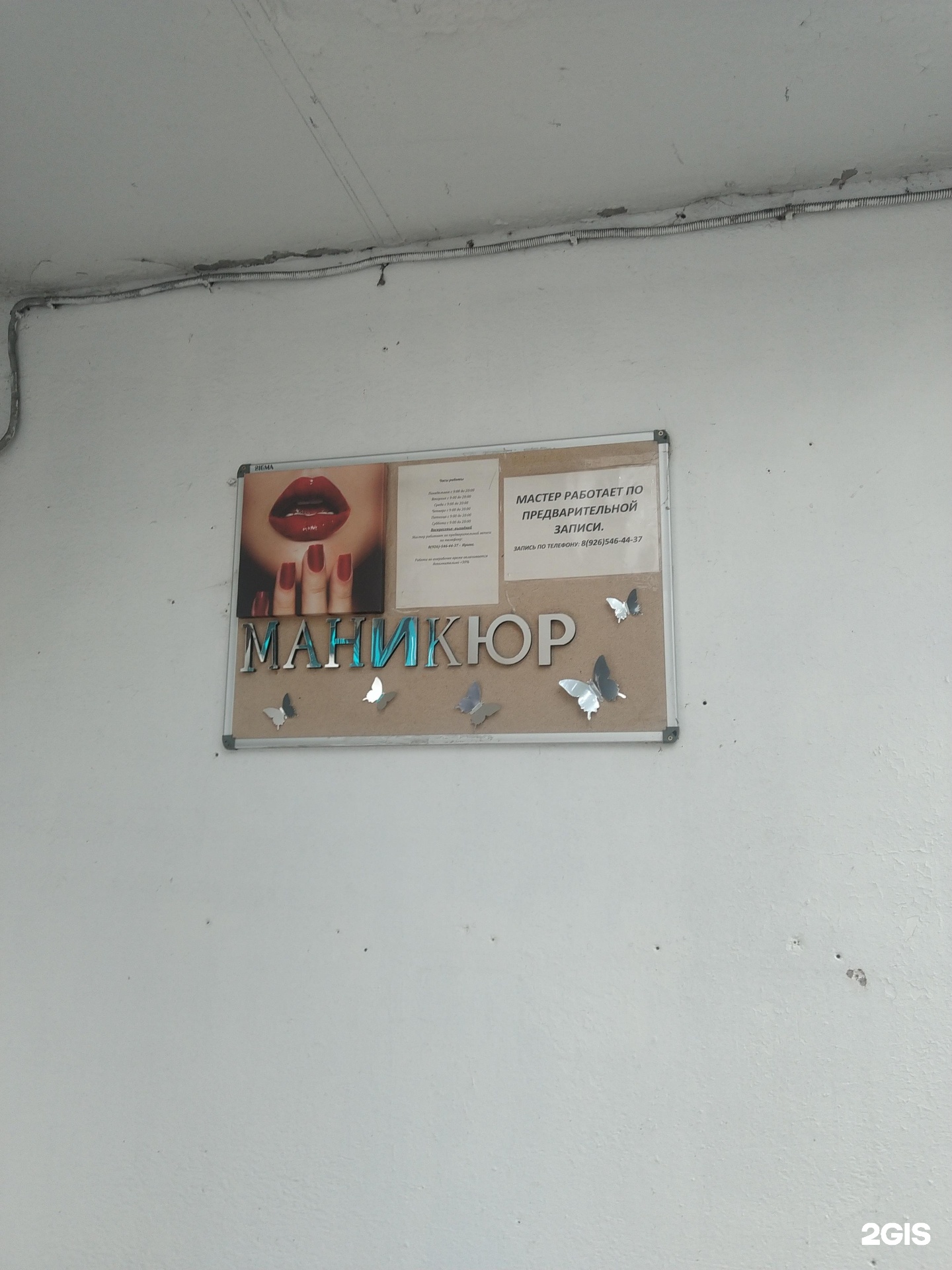 Изображение организации
