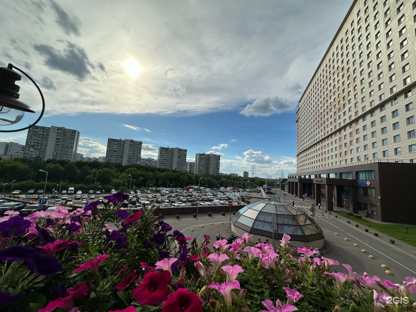 Изображение организации