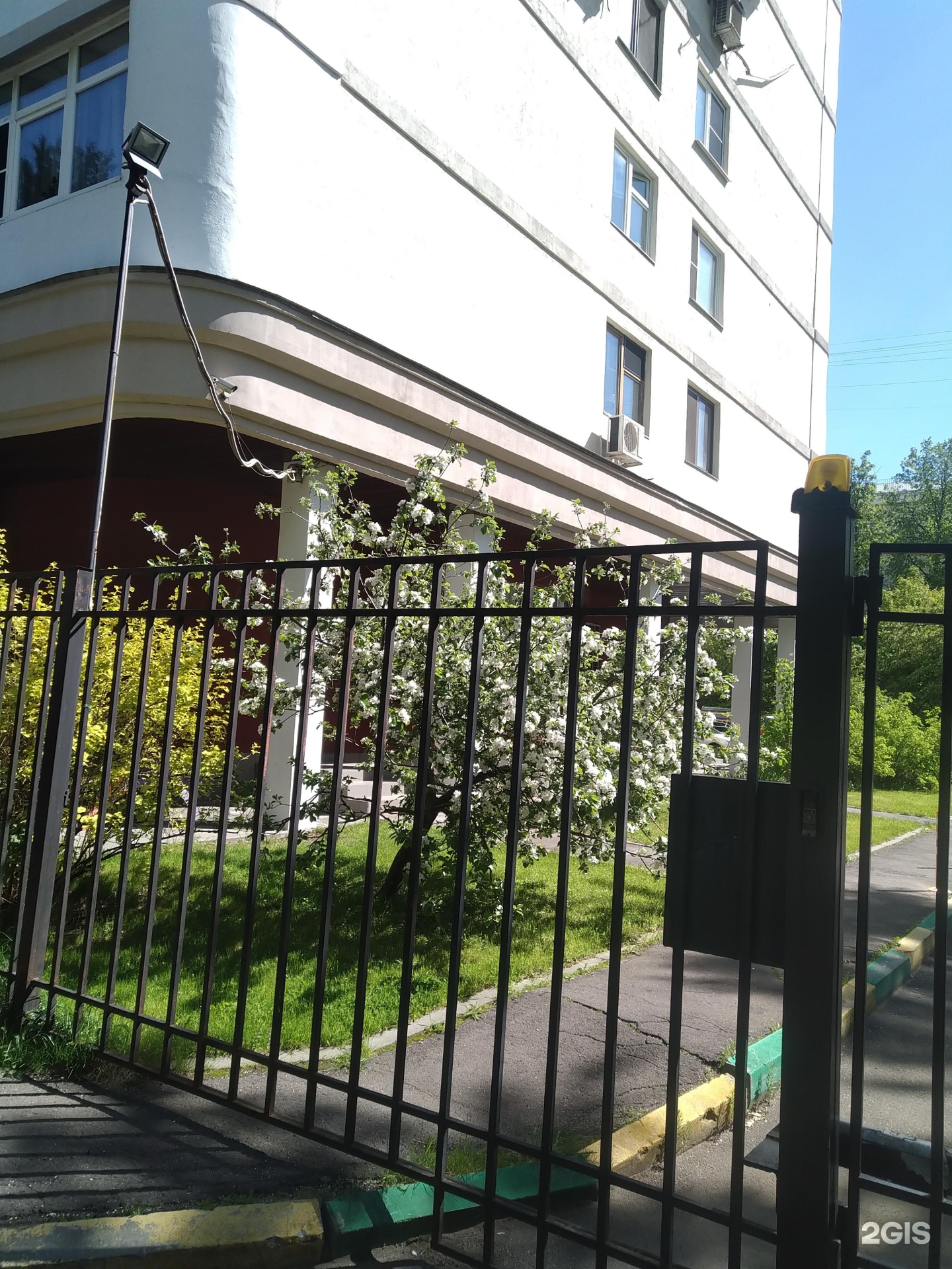 Изображение организации