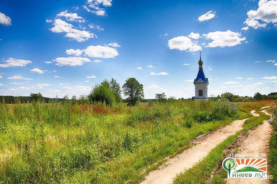 Изображение организации