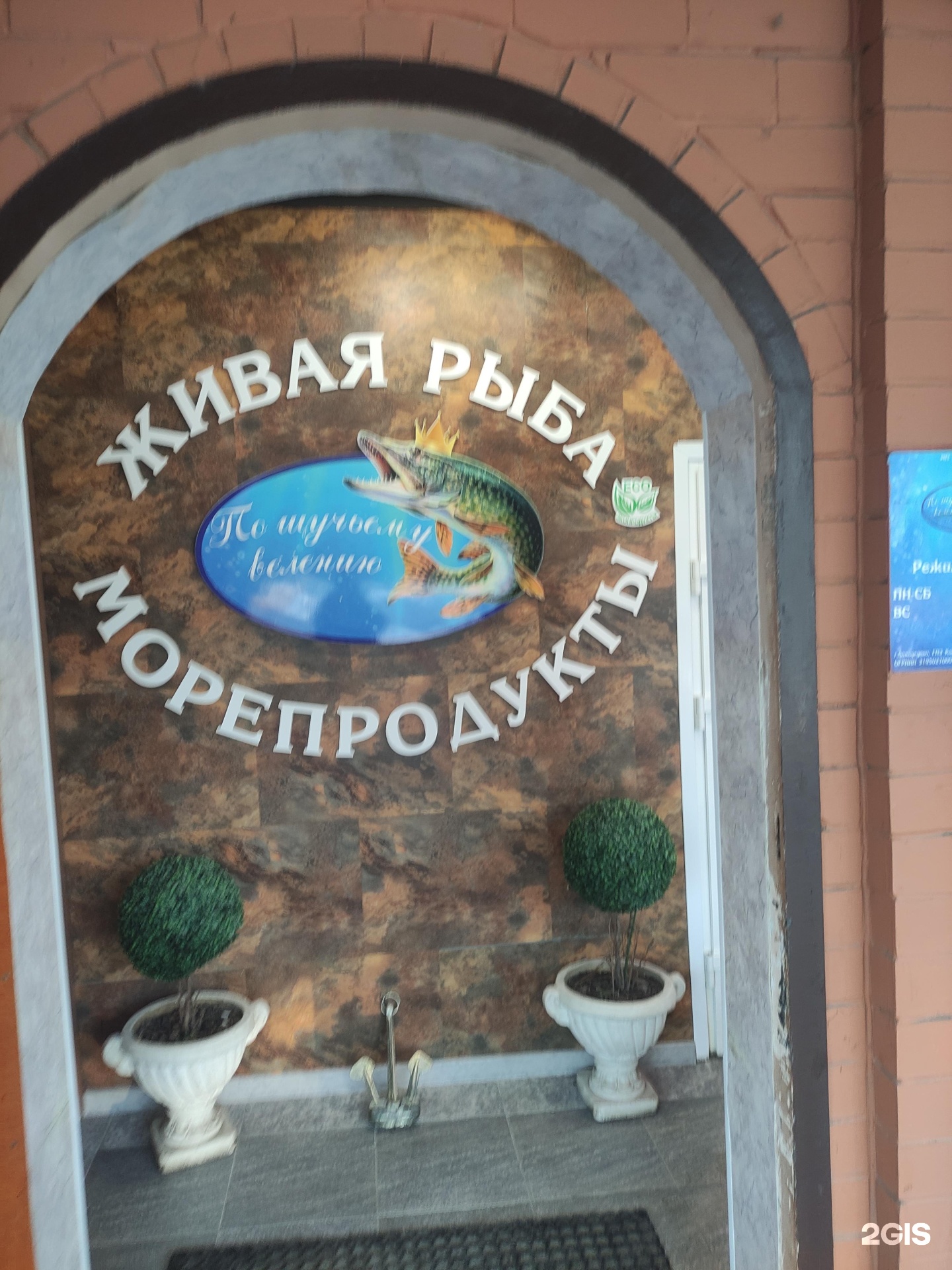 Изображение организации